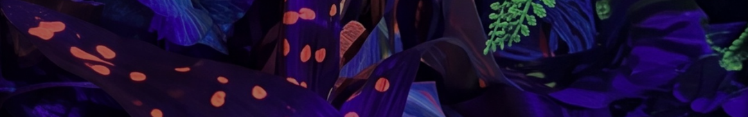 header, flyer