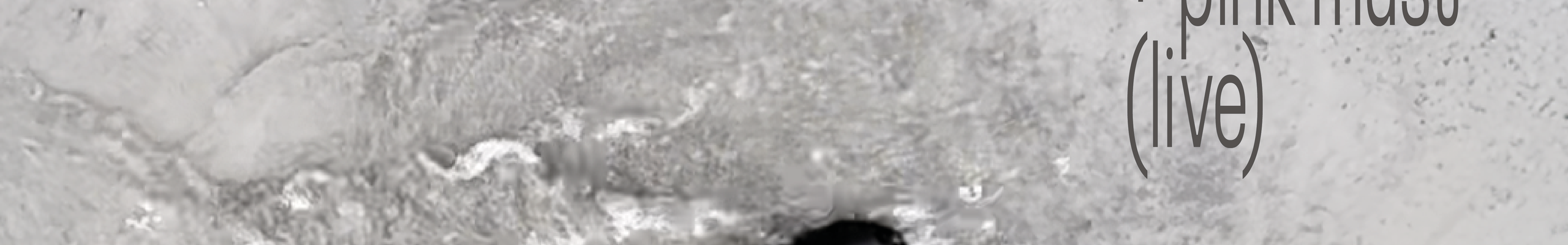 08.02.2026_FinewithPinkMust_Wanne_nomenklatur - Nomenklatur Wien