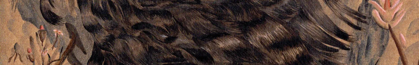 18.12.25 Struma iodine