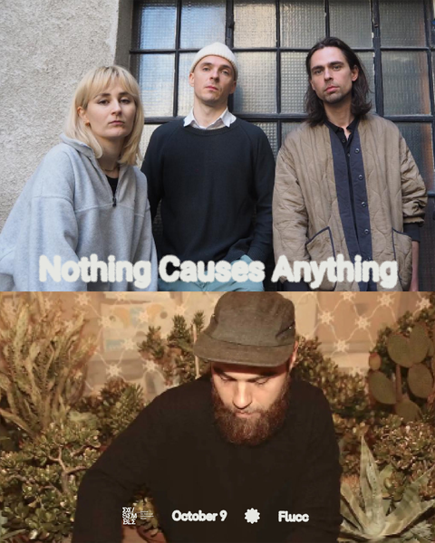 Nothing Causes Anything